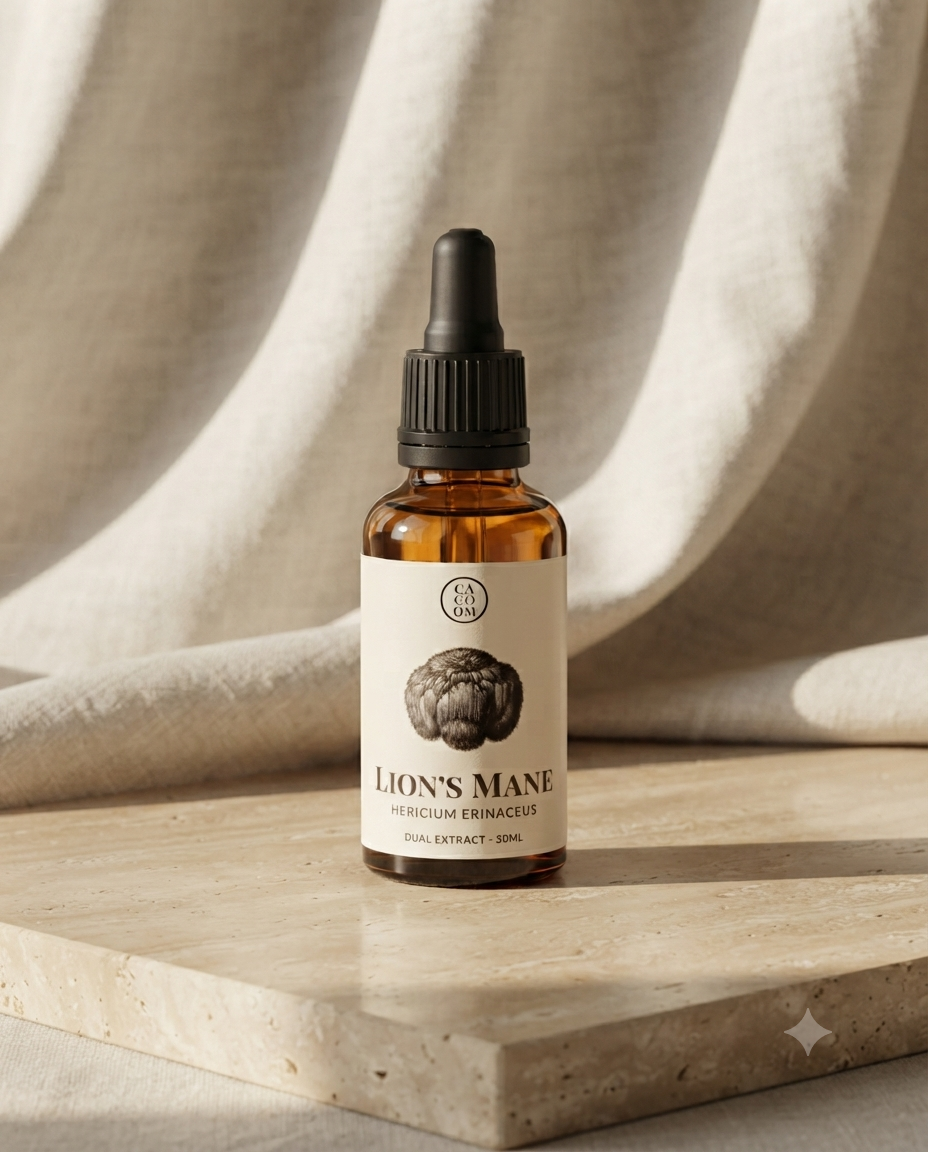 Lion's Mane Dual Extract